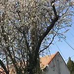 Mandula House * بالوزناك