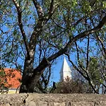 בית נופש Mandula House פלוזנק