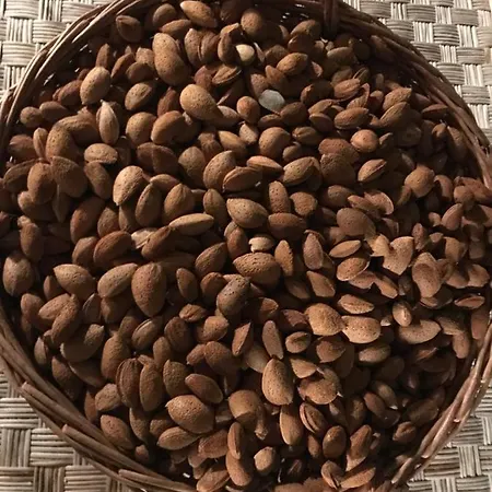 度假居 Mandula House