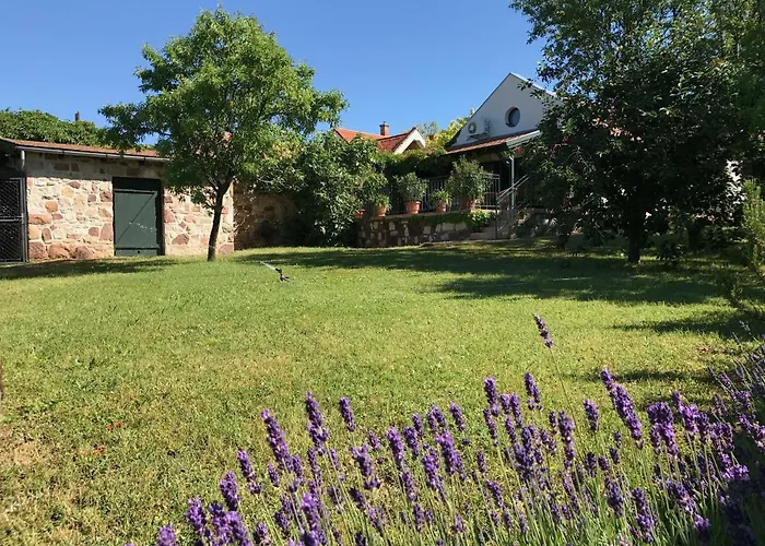 Case de vacanță Mandula House